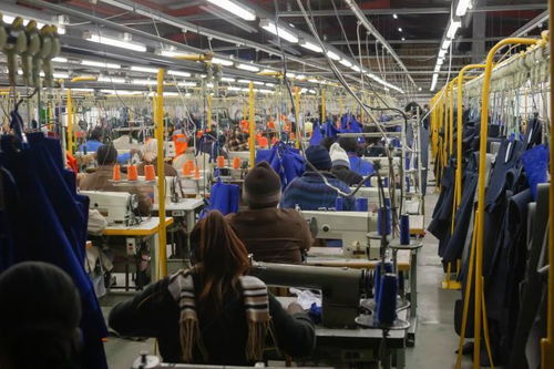 越南疫情擾動下的供應(yīng)鏈挑戰(zhàn)與應(yīng)對