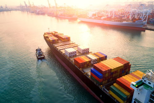 5大區(qū)塊鏈項目重塑供應(yīng)鏈管理 透明、高效與信任的新范式